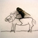 Post Thumbnail of Creative Dead Flies Art
