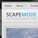 Post thumbnail of ScapeMode Premium Photography Wordpress Theme